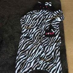 キティちゃん 着ぐるみのサムネイル