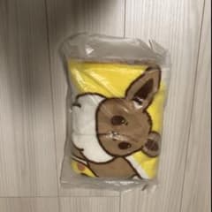 ポケモン ブランケットのサムネイル