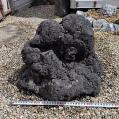 浅間溶岩石 14.9キロ 庭石 鑑賞石 石 石材 庭 坪庭 ガーデニング