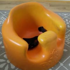 バンボのサムネイル