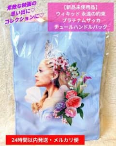 【新品未使用品】ウィキッド 永遠の約束 プラチナムザッカチュールハンドルバッグ