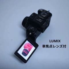 スマホ転送可 Panasonic Lumix GH2 単焦点レンズ付き - メルカリ