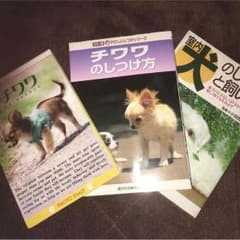 チワワの写真集カレンダー しつけ方 飼い方 ペット 本のサムネイル