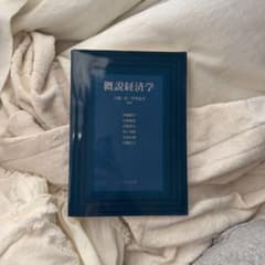 概説経済学 大淵三洋 芹澤高斉 編著 八千代出版のサムネイル