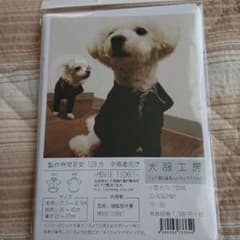 小型犬向け型紙のサムネイル