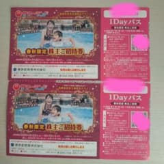 東京サマーランド 1Dayパス 2枚セットのサムネイル