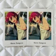 あんスタ ぱしゃっつ 茨