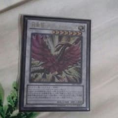 あらどん様専用遊戯王　ブラック・ローズのサムネイル