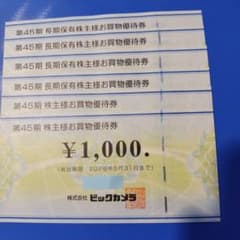 ビックカメラ 株主優待券 6000円分のサムネイル