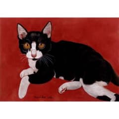 ウメ18」猫イラスト（原画） - メルカリ