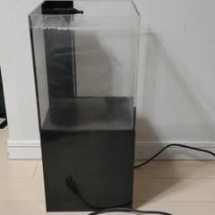 オーバーフロー水槽のサムネイル