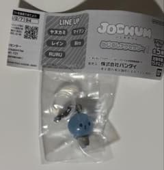 JOCHUM めじるしアクセサリー1 マイクンのサムネイル