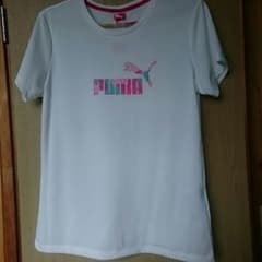 Tシャツのサムネイル