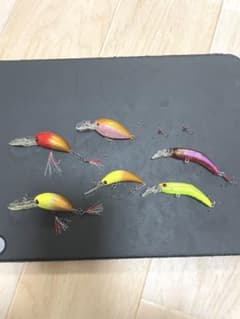 ハゼングのサムネイル