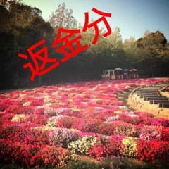 あやmama＊.様 専用のサムネイル