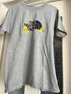 THE NORTH FACE Tシャツ グレー XLのサムネイル