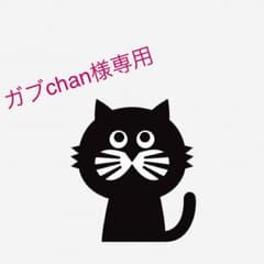 ガブchan様専用ですのサムネイル