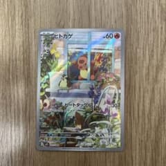 ヒトカゲ AR HP60 傷あり - メルカリ