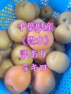 千葉県産 豊水 訳あり 5キロのサムネイル