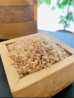 一等米〉農薬不使用R7年度産福岡県産特別栽培米A『元気つくし』20kg
