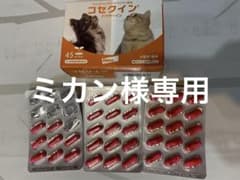 コセクインのサムネイル