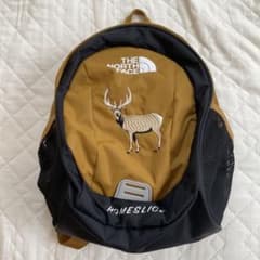 THE NORTH FACE/ザ・ノース・フェイス　キッズリュック　新品未使用のサムネイル