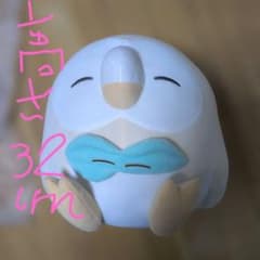 포켓몬 모클로