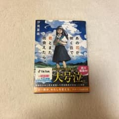 あの花が咲く丘で、君とまた出会えたら。のサムネイル