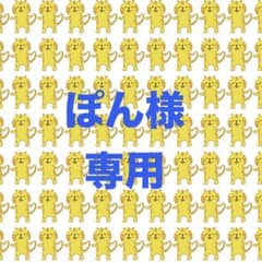 あつぽん様 リクエスト 5点 まとめ商品 ぽん様 リクエスト 2点 まとめ商品 - メルカリ