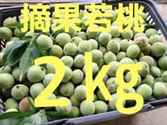 摘果若桃 ２㎏ (ご注文発送は6/10~6/15まで)のサムネイル