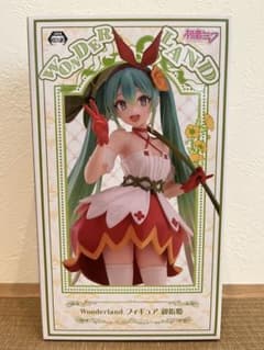 初音ミク Wonderland フィギュア 親指姫のサムネイル