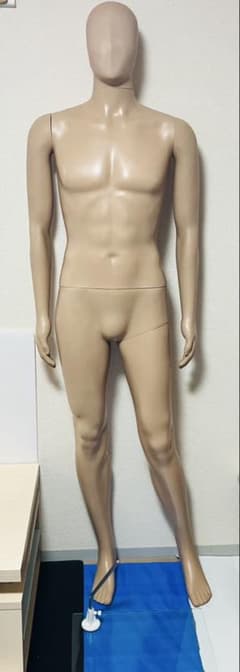 s*n様 マネキン トルソー 男性 メンズ 約190cm ディスプレイ 展示 店 s*n様 マネキン トルソー 男性 メンズ 約190cm ディスプレイ 展示 店