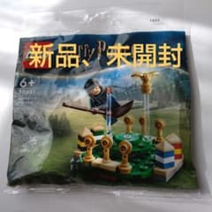 LEGO 30651 レゴ ハリー・ポッター クィディッチの練習のサムネイル