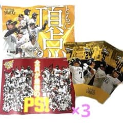 ホークス 配布ボード 5点セット