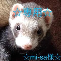 mi-sa様専用♡のサムネイル
