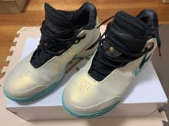 NIKE ZOOM LEBRON NXXT GEN AMPD EP 31.0cmのサムネイル
