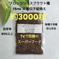 山菜 アマニュウ 種子 予約 山菜 アマニュウ 種子(50粒) | Shop at Mercari from Japan! | Buyee