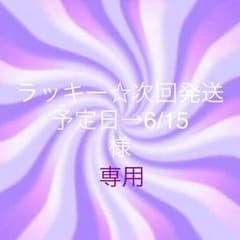 専用です。のサムネイル