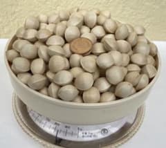 銀杏　800gのサムネイル