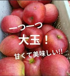 【大特価】✨️信州農家✨️シナノスイート✨️家庭用10キロ以上！のサムネイル