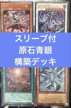 【即購入可】　遊戯王　青眼　構築デッキ　ローズパメラ　エクハジャール　ドミナス スリーブ付】 遊戯王 青眼 構築デッキ ローズパメラ エクハジャール