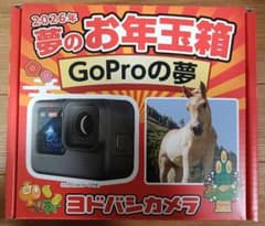 ヨドバシカメラ 夢のお年玉箱2026 GoProの夢 GoPro HERO13 - メルカリ
