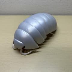 アルビノだんごむし　ガチャガチャのサムネイル