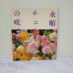 永順・チューリップの咲く頃のサムネイル