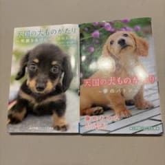天国の犬ものがたり 笑顔をあげに 夢のバトン 小学館ジュニア文庫のサムネイル