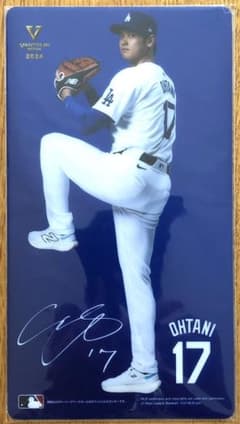 大谷翔平 マルチケース 未開封新品のサムネイル