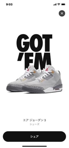 Nike Air Jordan 3 "Cool Grey"のサムネイル