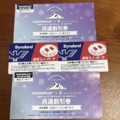 高鷲スノーパーク＆ダイナランド1日リフト券2枚＋共通割引券2枚のサムネイル