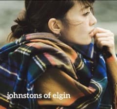 希少完売】ジョンストンズ ユナイテッドアローズ別注 カシミア大判