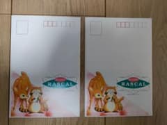 ○【未使用・希少】あらいぐまラスカル 絵入りはがきセット（全5種×2
